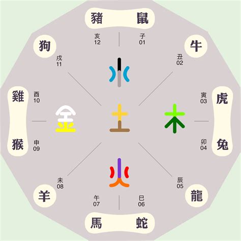 芷的五行|芷的五行属什么,芷字的五行属性,芷的寓意